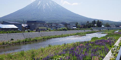 河川部門