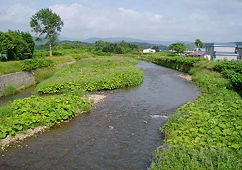 河道計画