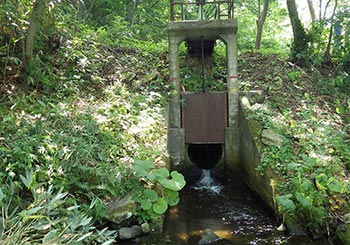 排水施設（樋門工、排水工）