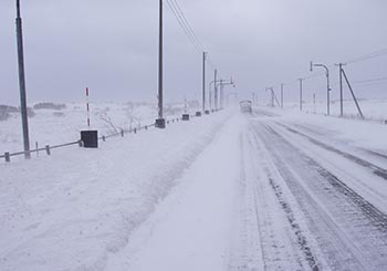 雪況調査